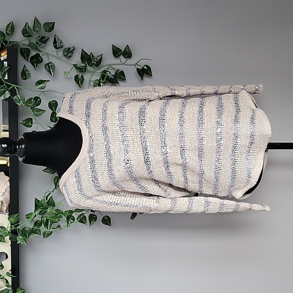 Willow and Clay Sheer/Sequined striped sweater